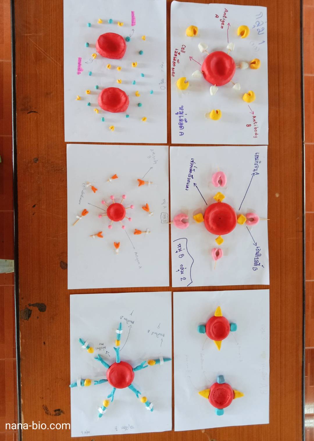 ผลงานนักเรียน